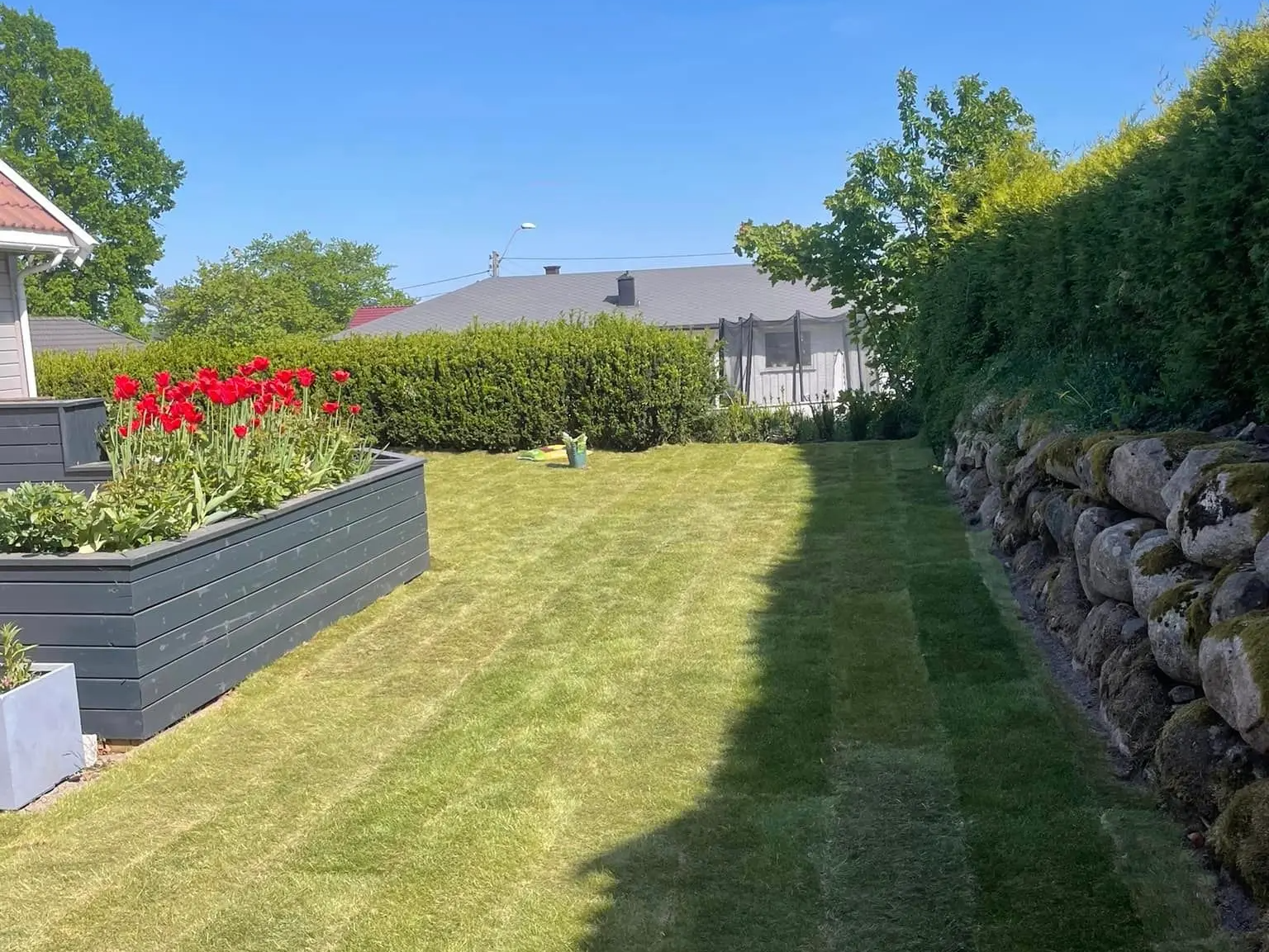 En velstelt hage med en nyslått plen, blomsterbed med røde blomster, og grønne hekker under en klar blå himmel.